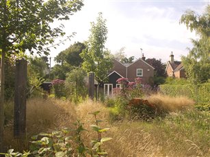 BALI Design Excellence 2013 New Forest Garden