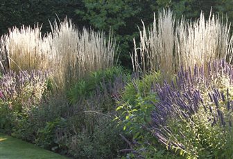 Planting for texture, movement and the seasons