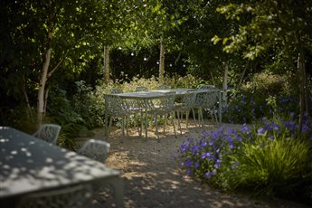 Hestia Garden at The Plough Shiplake in Oxfordshire; view of the Woodland Edge planting with Birch trees, enclosing the tables within the dining area. Photograph Alister Thorpe.