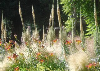 Signature Planting - Bold, Vibrant and Biodiverse