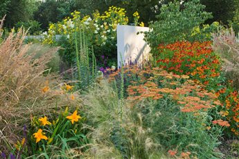 Chilterns Garden