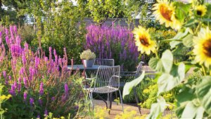 Ann Marie Powell Gardens - Principal Designer - Ann Marie Powell FSGD - RHS Wisley, World Food Garden - Image Mary Guinness