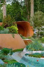 RHS Chelsea 2019
