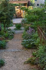 West end Glasgow garden with informal shade-loving woodland-style planting within a geometric design inspired by the building. Photo credit: Rachel Bailey