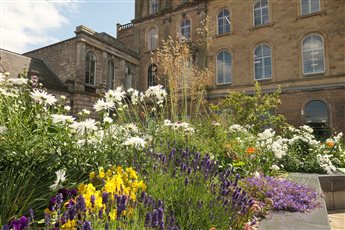 Planting that brings colour and vibrancy throughout the seasons