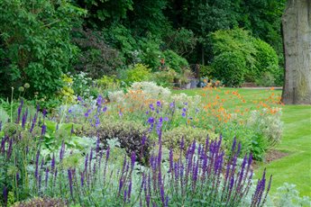Lovely and long-lasting contrast of texture, form and colour in this large elegant garden in Chobham. Purple and orange is a striking combination.