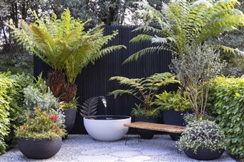 Gold Medal Winning RHS Chelsea Flower Show Garden 'Feels Like Home'. A garden created just using plants in pots with a New Zealand theme.