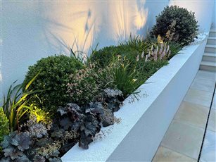 Rendered planter with evergreen planting scheme, Tunbridge Wells, Kent
