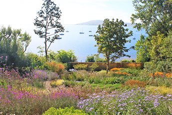 The acre of perennial prairie planting (including Rudbeckia, Iris, Verbena and Lychnis) is high impact but low maintenance. The inclusion of evergreen grasses and sub-shrubs results in year-round structure, texture and interest.