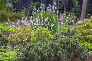 Sara Jane Rothwell MSGD - Cholmeley Crescent - Photo  Marianne Majerus