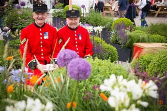 Chelsea Show garden 2016