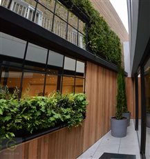 Even the smallest, tightest spaces can have great gardens. And end of row mews in Notting Hill, with a 5m high rough brick facing wall was clad with a living wall and panels of cedar
2.9m wide narrowing to 0.65m