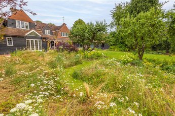 Wildflower meadow and orchard in a large family garden in the Chilterns.