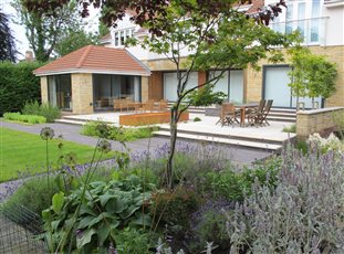 A multi stem Acer in a herbaceous border. Looking towards the patio and corten water feature in our Gosforth Garden, Newcastle Upon Tyne.
