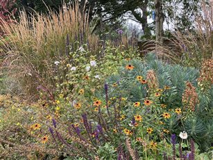 Autumn in CAMHS mental health garden Hertfordshire