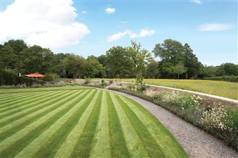 Project in progress 2025 - Curving wall, wildflower meadow and lawn