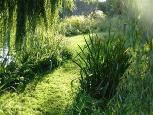 Culham Island Naturalistic Landscape