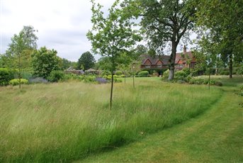 Long grass and bulbs helps with reducing the mowing and giving greater texture and colour to the garden.