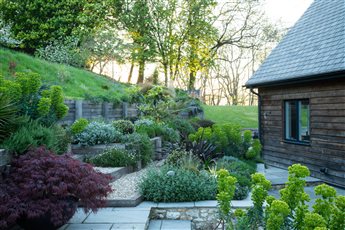 Country garden on a steep wooded hillside