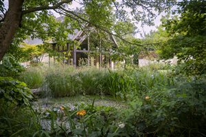 Winner Miria Harris MSGLD, Modern Crafted Garden. Photograph © Rachel Warne