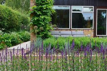 Stylised borders contemporary planting design, Maresfield, East Sussex
