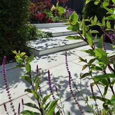 Changes in level can add a lot of interest to a garden.