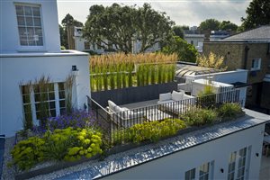 Gavin McWilliam MSGD & Andrew Wilson FSGD - West London Family Garden - image Alister Thorpe