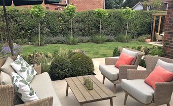 A simple urban garden with structural tree planting and soft planting.  Multiple seating areas 