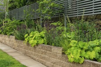 Woodland style planting for a new build contemporary garden. 