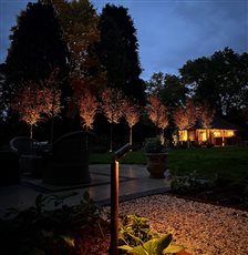 Surrey Garden and Pool House
Lighting Design: DLX Lighting Design
Garden Design: Nettles and Petals Garden Design
Landscaping: Blue Fish Landscapes