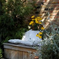 Mandy Buckland MSGD - Triple Texture Courtyard