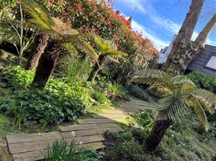 Gardens for new build Avondale Hall in Holland Park