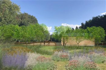 Garden visual