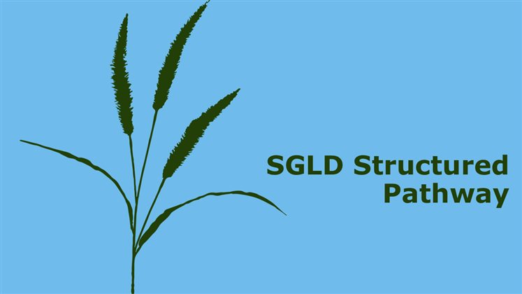 Structured Pathway 2026/2027 - Registration