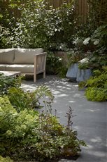 North London garden