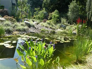 Water Feature 

Photo: © John Nash