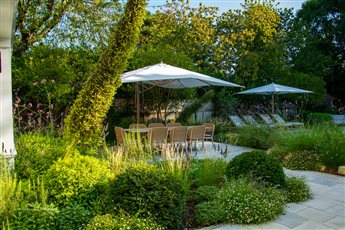Dorset Contemporary Garden with Swimming Pool