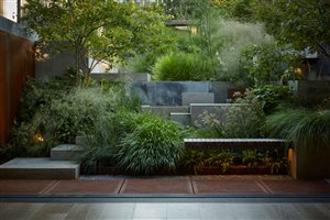 Tom Massey MSGD - Twickenham Garden - Image Alister Thorpe