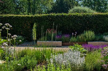 Mediterranean style petanque pitch garden