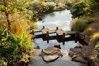The zig-zag bridge across the meandering watercourse in autumn in this large Sussex country garden - image copyright Marianne Majerus
