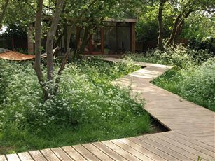Boardwalk through an Orchard Cambridge