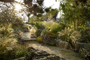 Matthew Childs - Heathside pool garden - Image Alister Thorpe