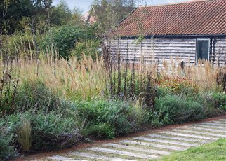 long perennial border in autumn