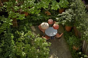 Stefano Marinaz MSGD - In the shade of the Catalpa tree: Alexander Square - Image Alister Thorpe