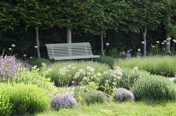 Herb Garden - Penshurst