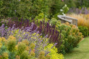 Semi-formal country garden - Seating and planting work in harmony with each other.