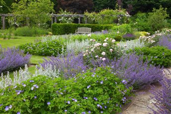 Spring planting, cool blues, pinks and purples.