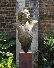 'Bliss, Icarus'. This garden sculpture is in bronze. He is the head and torso of Icarus taken from the monumental version of 'Icarus Rising'. The figure is 108cm tall, 62 cm wide and 48cm deep. He is displayed on a Corten steel plinth 90cm tall.