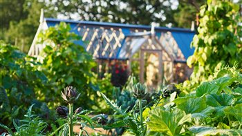RHS Wisley World Food Garden