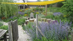 Kristina Clode - Sedlescombe Primary School Sensory Garden - Photo Abigail Rex